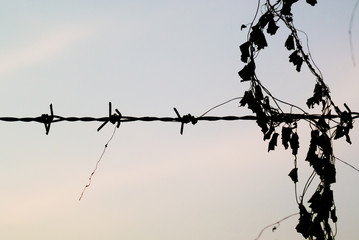 Silhouette of barb wire at a post