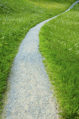 Path in green meadow