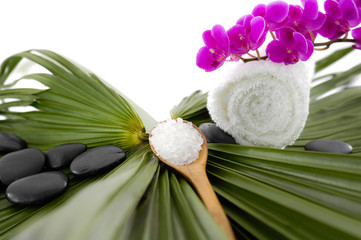 Red orchid and roller white towel on green palm