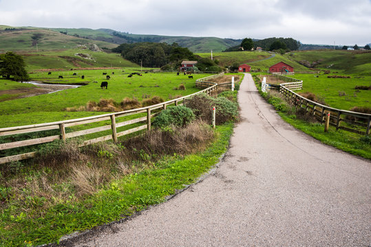 Small Family Farm