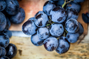 Blue grapes