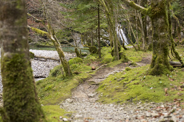 gorski kotar beautiful nature
