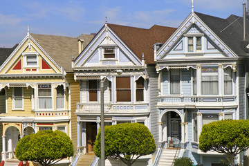 the painted ladies, San francisco