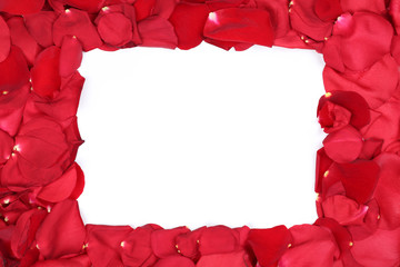 Rahmen von rote Rosen Blumen zum Valentinstag oder Muttertag mit