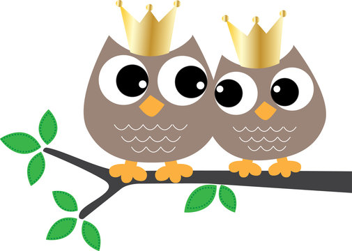 two sweet brown owls in a tree