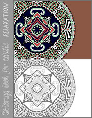 coloring book page for adults - flower paisley design