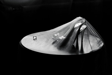 Luxury wedding shoes and veil