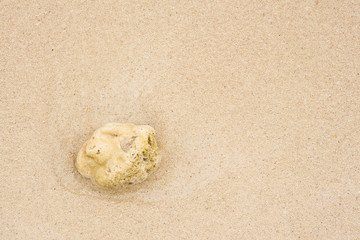 Rock of the sea on the sand beach