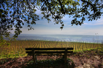 Kaiserstuhl Bench