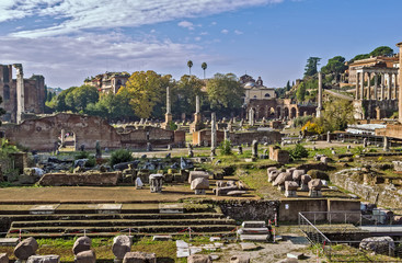 Obraz premium Roman Forum