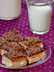 cheese cake with chocolate