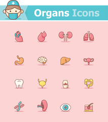 Internal organs icon set
