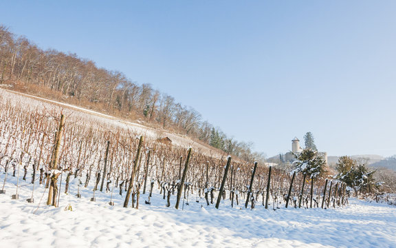 Arlesheim, Dorf, Schloss, Weinanbau, Birseck, Winter, Schweiz