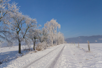 Winter country side