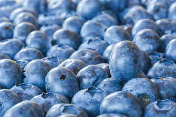 fresh blueberries on wooden table