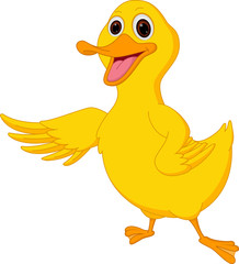 Cute duck cartoon