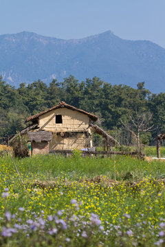 Traditional taru house in Bardia, Nepal