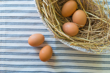 fresh eggs  on straw