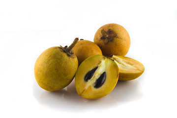 sapodilla Fruit  on white background.