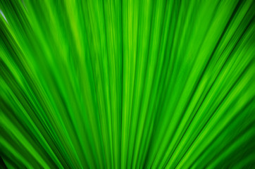 green background