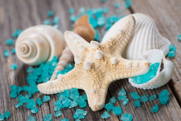 Fototapeta na wymiar Close-up of seashells on old wooden board.