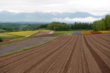 landscape of countryside  in Japan