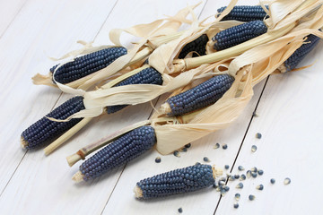 blue corn, mexican cuisine ingredient