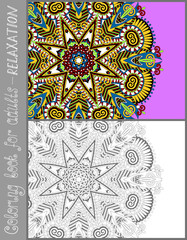 unique coloring book page for adults - flower paisley design