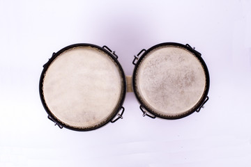 Fototapeta premium Bongo