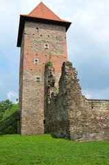 Castle in Poland (Chudów)