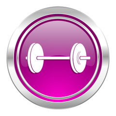 fitness violet icon