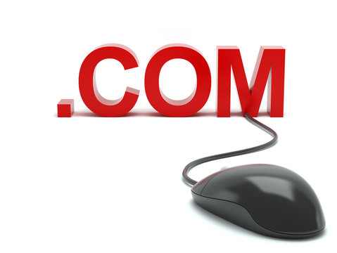 .COM and Computer Mouse