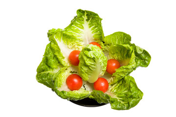 Lettuce