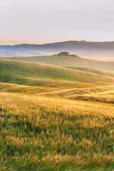 Fototapeta na wymiar Tuscan fog in the fields sunshine, Italy