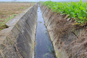 drainage ditch