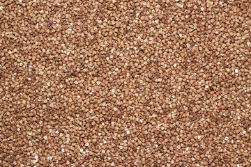 buckwheat background