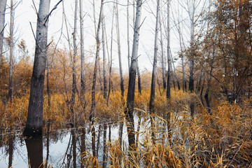 Park of Pateira de Fermentelos