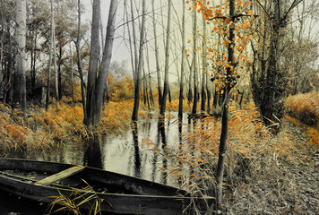 Park of Pateira de Fermentelos