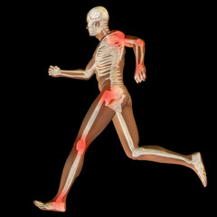 3D human man anatomy with articular pain