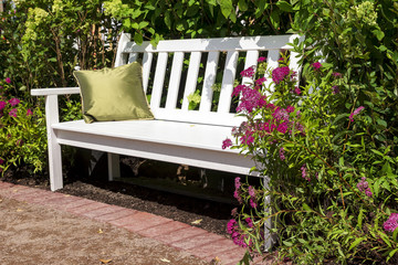 white bench in the lush garden