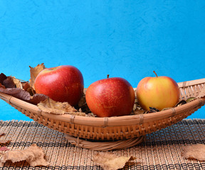 Three red apples on wooden fruit bowl on blue background 