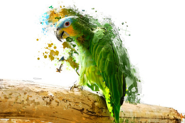 Green parrot on the branch, abstract animal concept