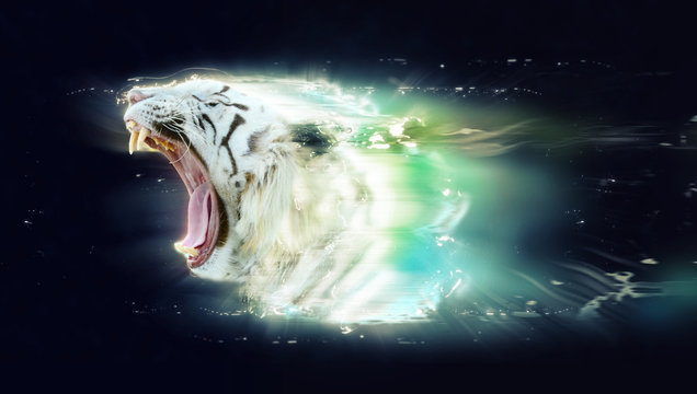 White tiger with open jaws, abstract animal concept