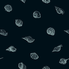 pattern of the seashells