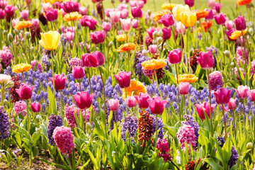 spring garden