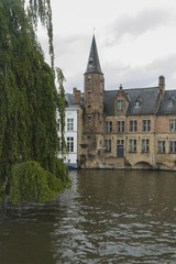 Dijver Canal with weeping willow tree, Bruges