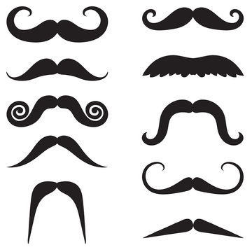 Moustache Collection