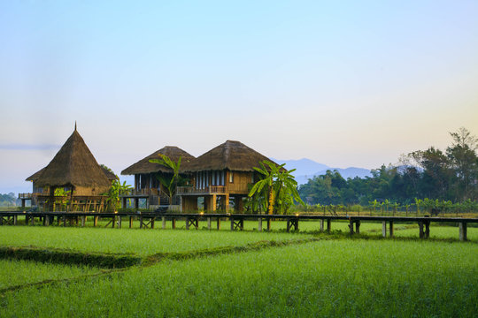 Vang Vieng Resort, Laos