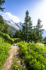 Obraz premium French alpine landscape with forest, meadows and mountains