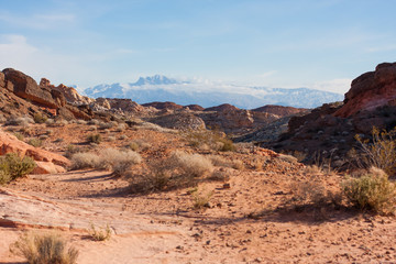 Valley of Fire Mountain View